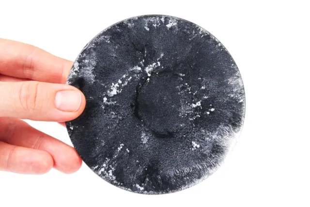 OBSIDIAN BLACK Alc ink Epoxy Resin varnish