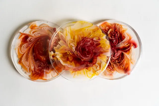 Epoxy Resin magic flower Resin Epoxy Resin magic flower Resin