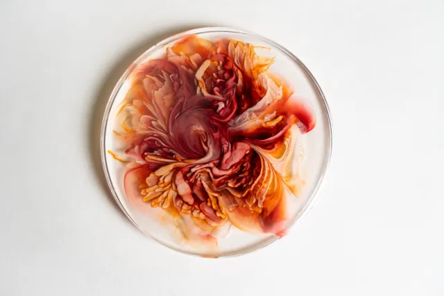 Epoxy Resin Resin flower Epoxy Resin Resin flower