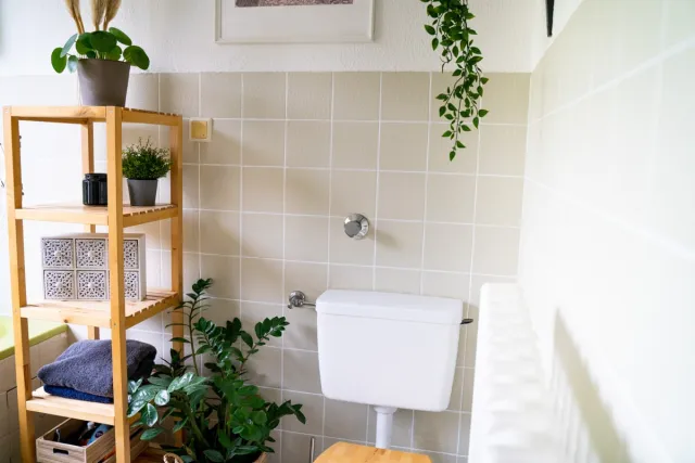 tile Paint buy