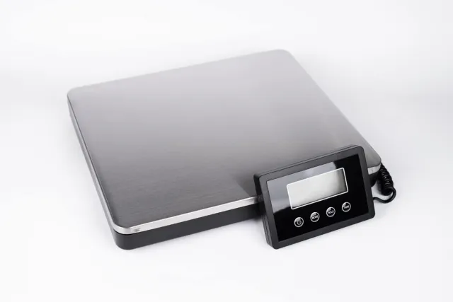 scale scale digital