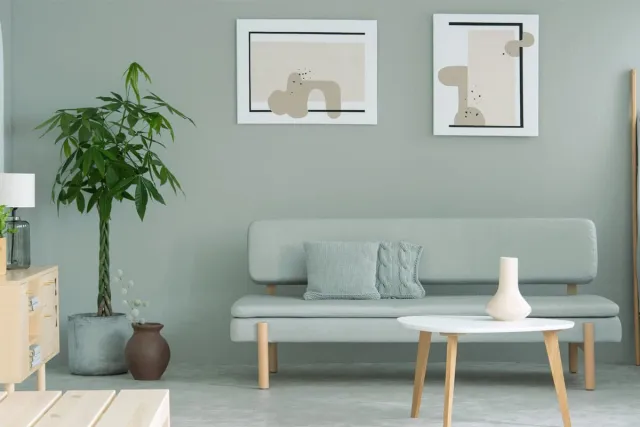 wall Paint Paint EPODEX