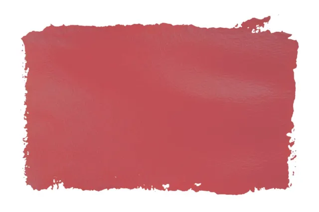 RAL 3017 WB Rose Latex Paint RAL
