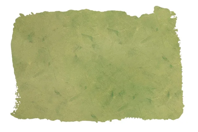 Bright Olive Green Metallic brush interior paint olive