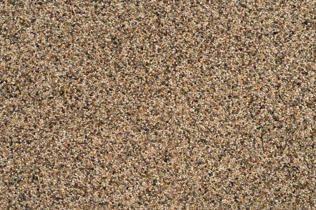 Sahara