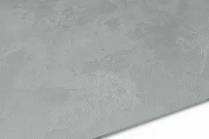 EPODEX Silver Grey EPODEX Silver Grey
