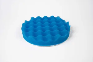 polishing pad sponge